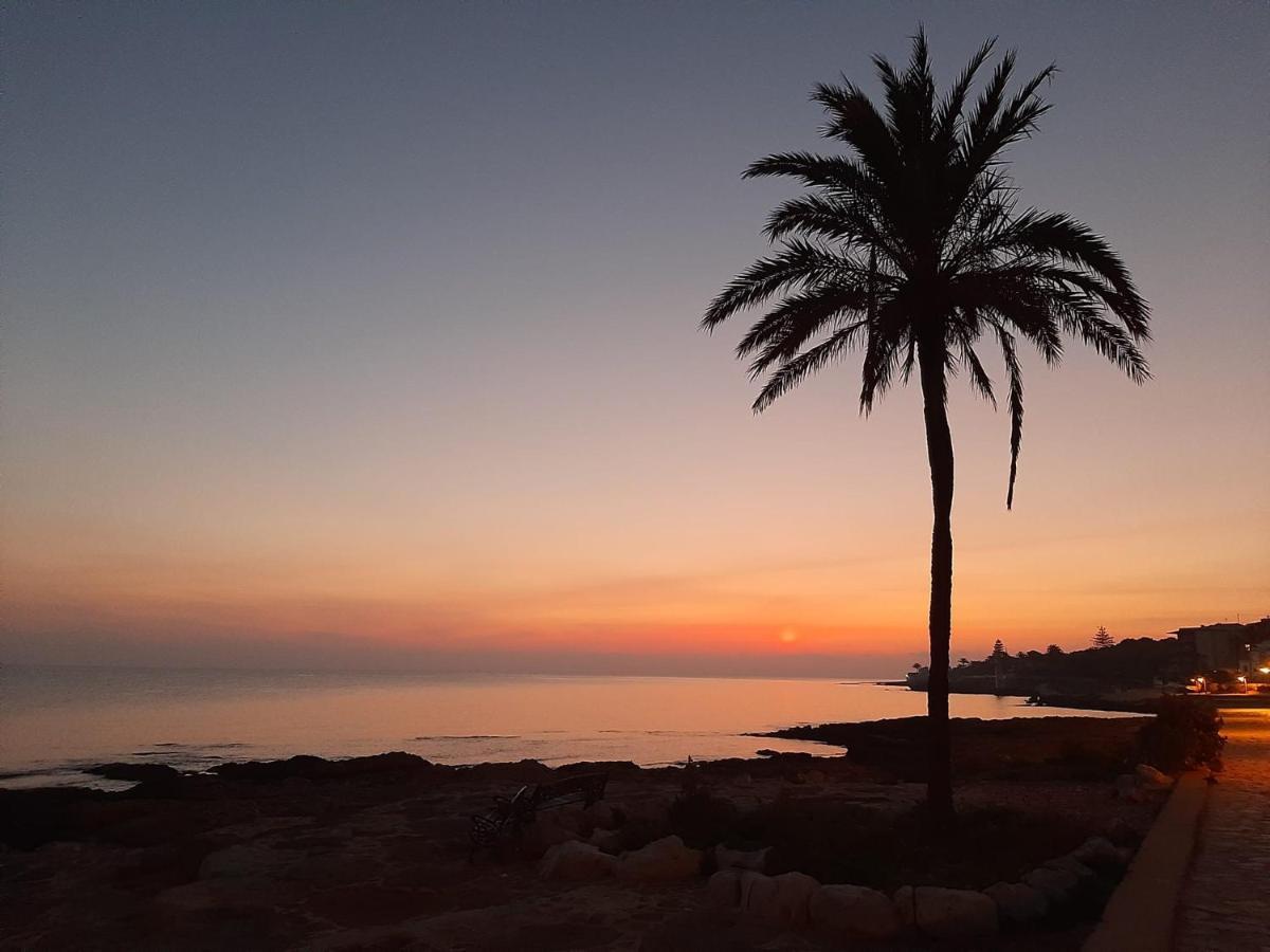 Mare Nostrum II Denia. Dış mekan fotoğraf